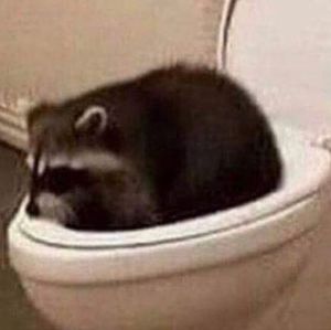 Meet your Posher, Elliot